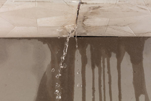 Professional Water Damage Restoration technician working in Taneytown, MD